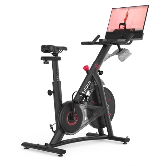 OEM Factory Exercise Bike With TV Screen
